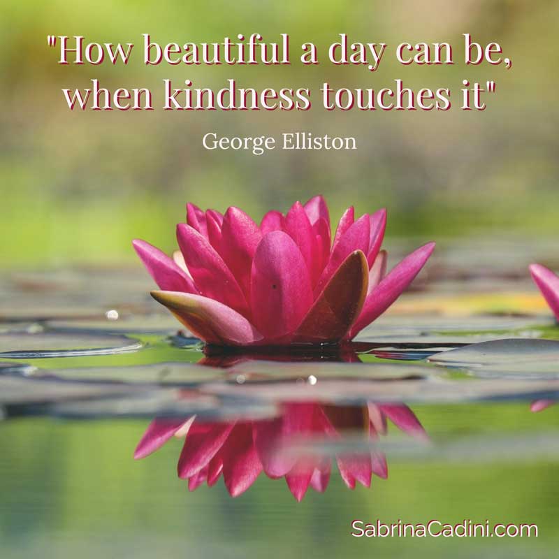 sabrina cadini use kindness to win clients wedding business coach for planners and professionals