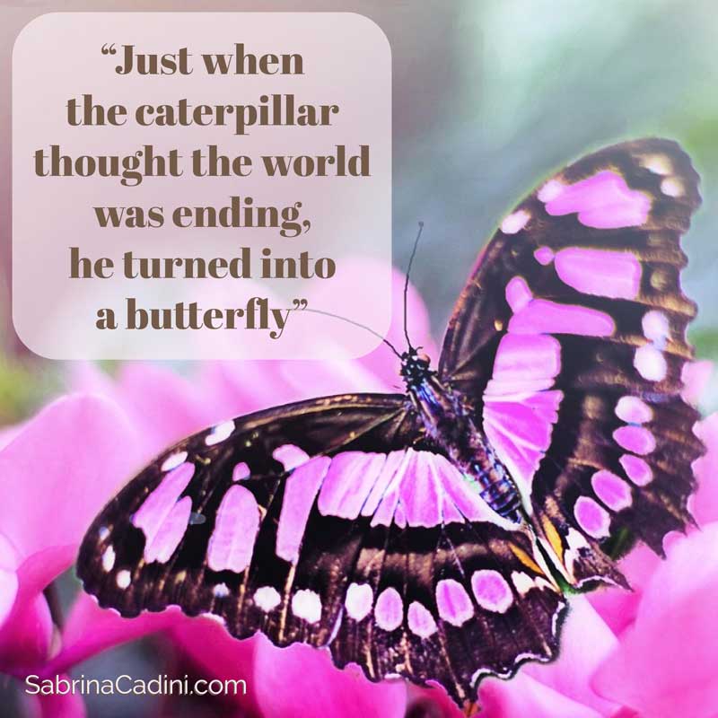 don't give up sabrina cadini monday moves me caterpilla butterfly don't give up success wedding business coach